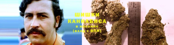ГАЛЛЮЦИНОГЕННЫЕ ГРИБЫ Алзамай