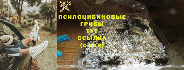 твердый Алексеевка
